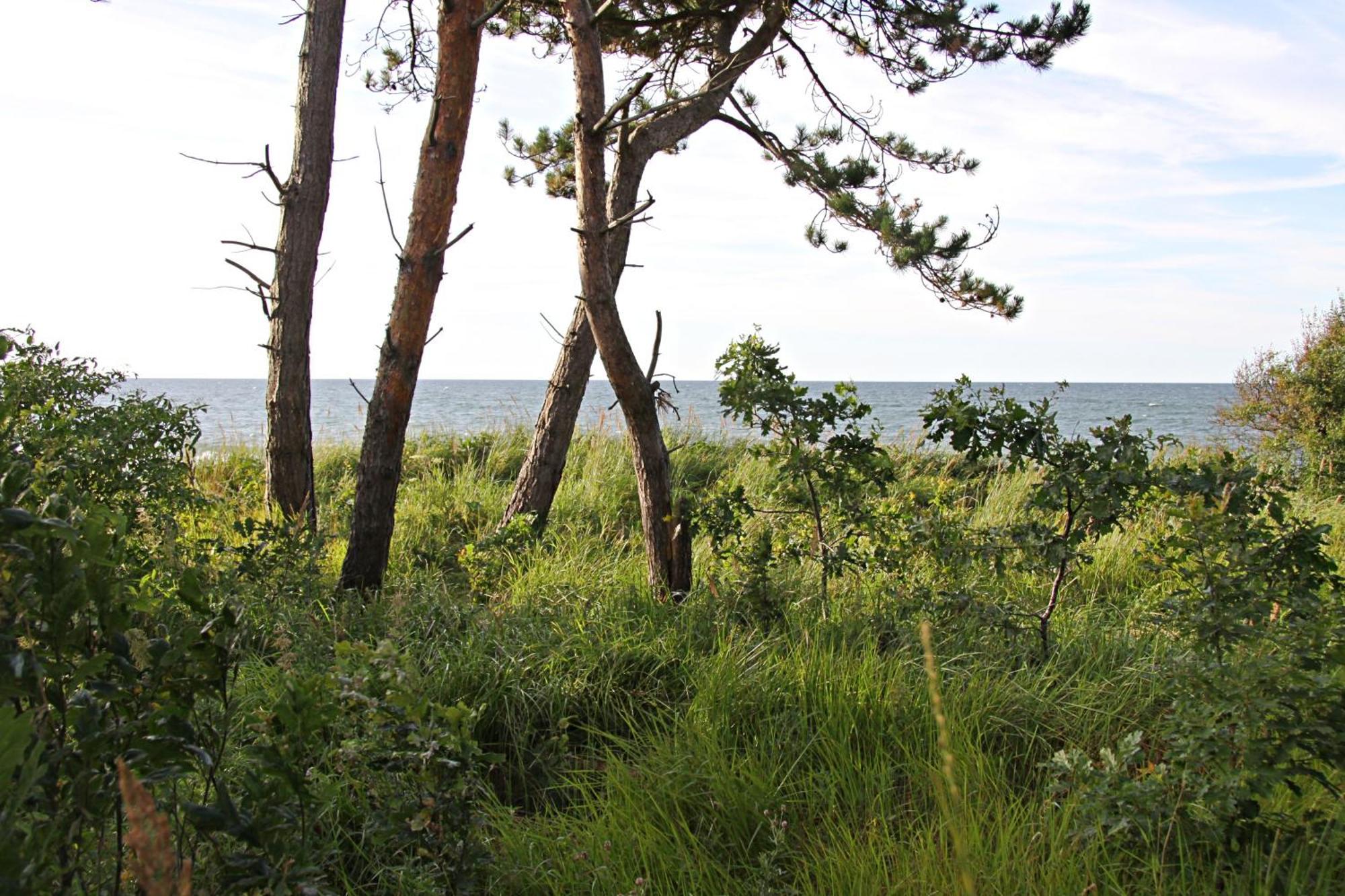 Let'S Sea - 2 Bedroom - Premium Baltic Apartment With Front Sea View Garden And Spa Access Gąski Exterior foto