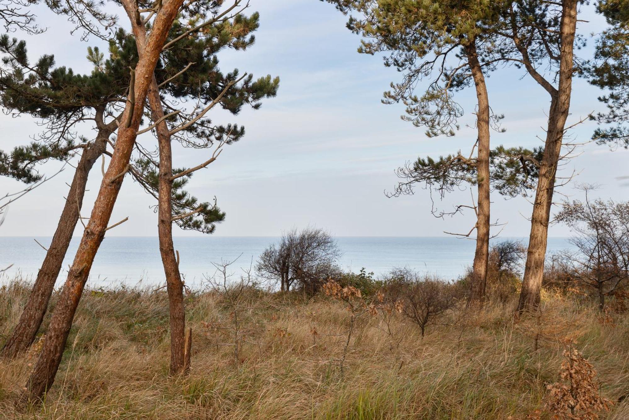 Let'S Sea - 2 Bedroom - Premium Baltic Apartment With Front Sea View Garden And Spa Access Gąski Exterior foto